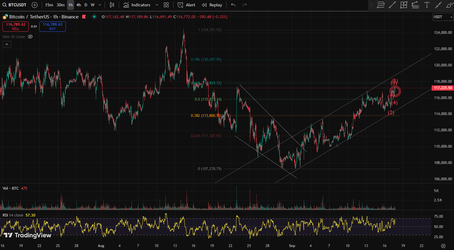 25.38 BTC 주간 검토 1 BTC CHART QUIZ 74